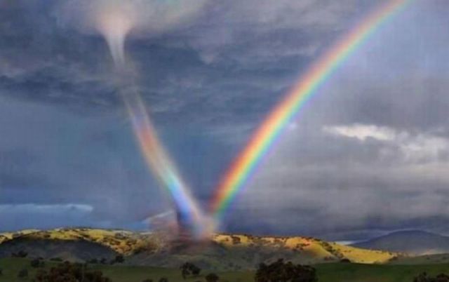 Прикольные картинки (76 фото)