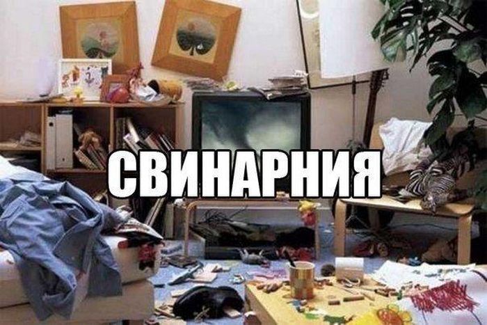 Порция картинок