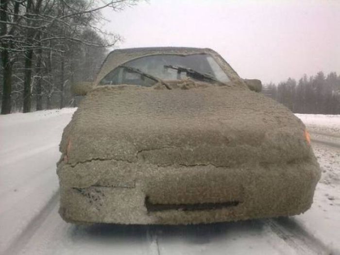 Прикольные картинки