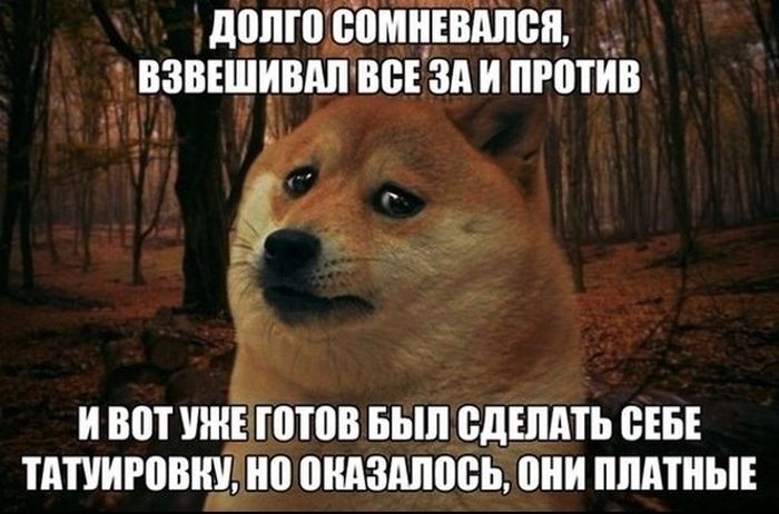 Порция картинок