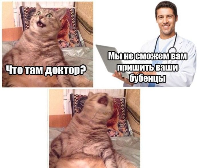 Порция картинок