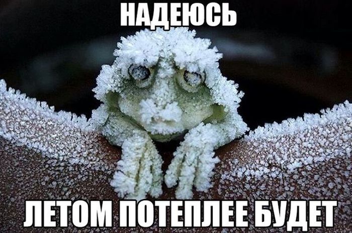 Порция картинок