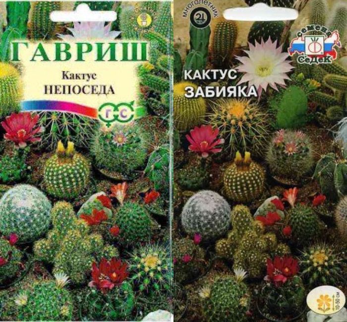 Иногда у семян такие отбитые названия, что их и сажать страшно