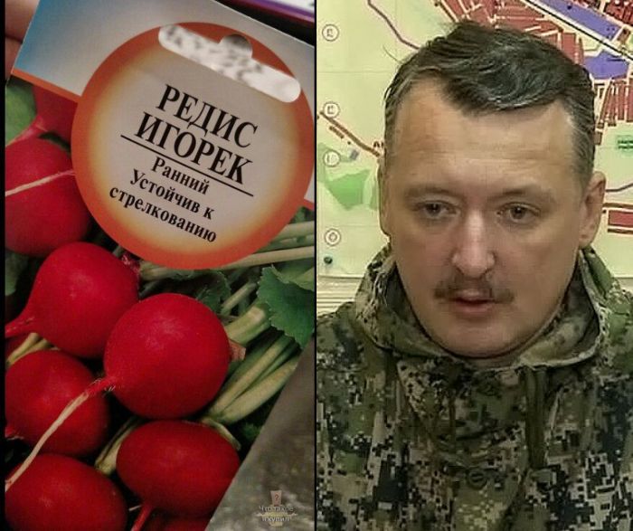 Иногда у семян такие отбитые названия, что их и сажать страшно