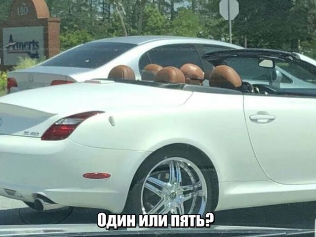 Прикольные картинки