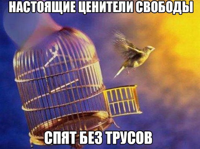 Порция картинок