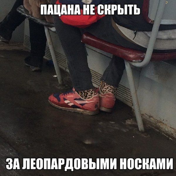 Порция картинок