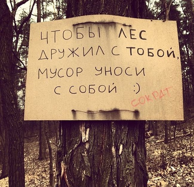 Порция картинок