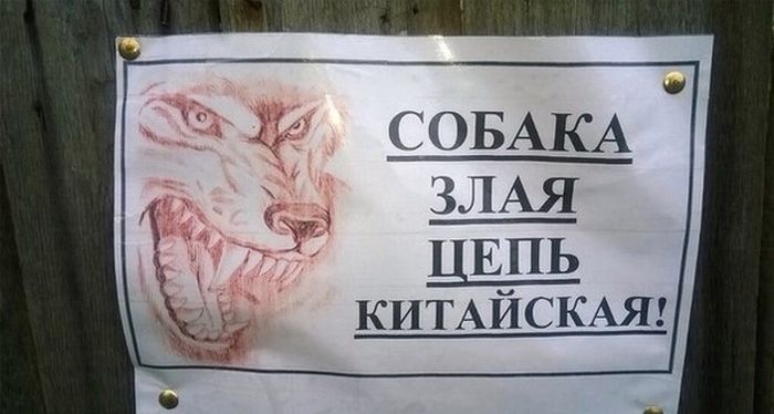 Порция картинок