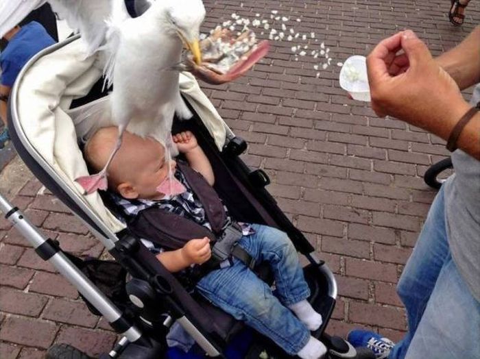 Фейлы, случающиеся каждым