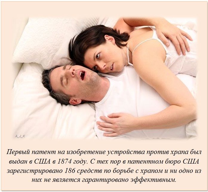 Интересные факты обо всём