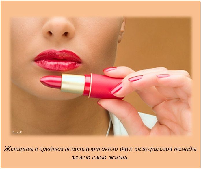 Интересные факты обо всём