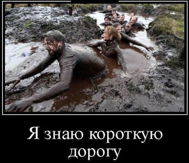 Демотиваторы