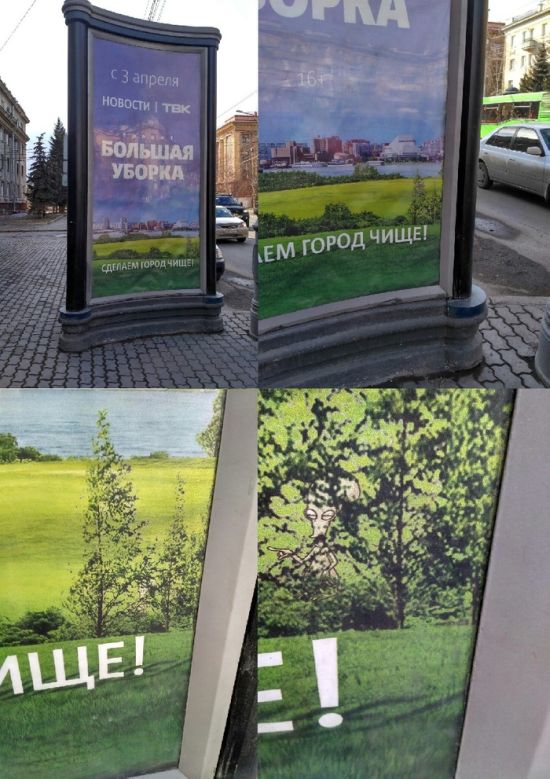 Прикольные картинки