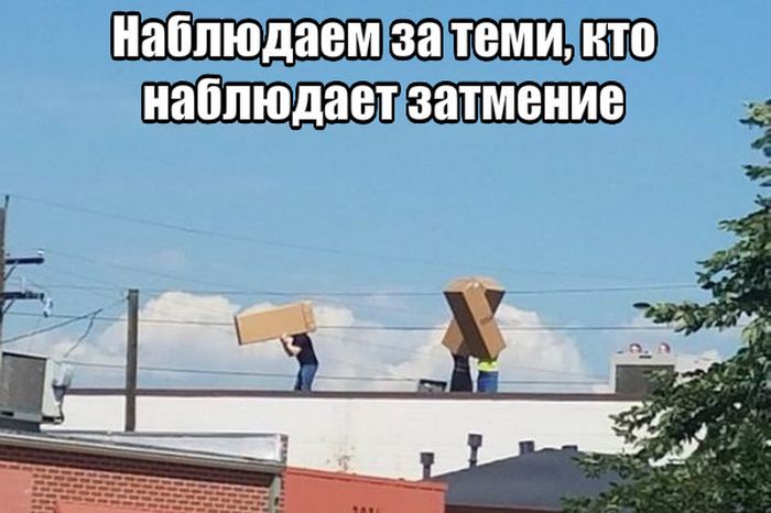 Прикольные картинки
