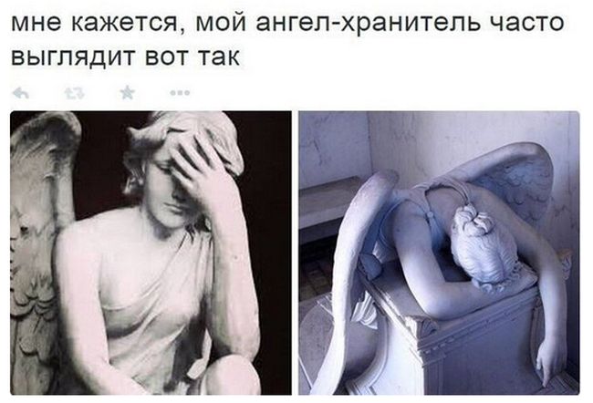 Прикольные картинки