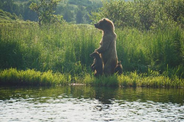 Прикольные картинки