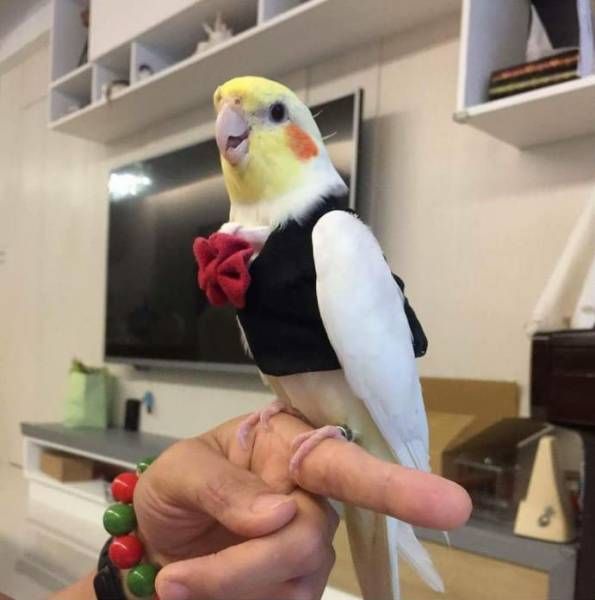 Прикольные картинки