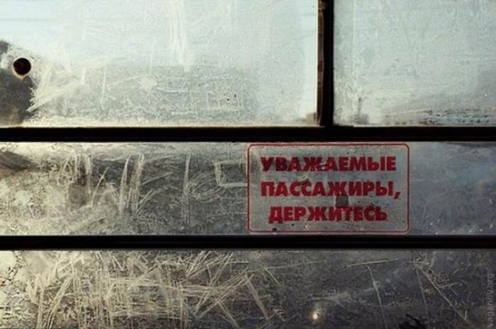 Прикольные картинки