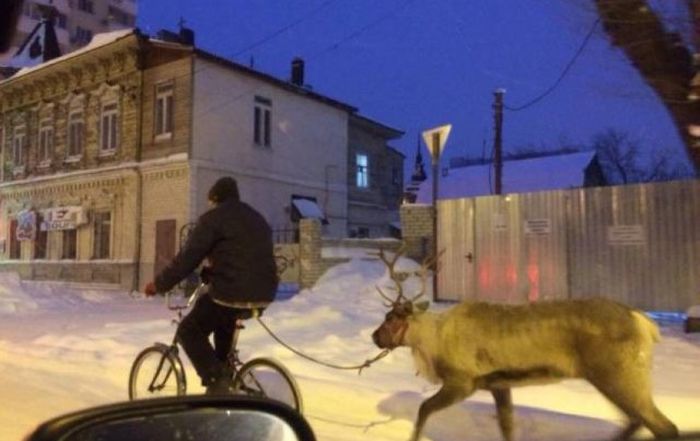 Городские чудаки