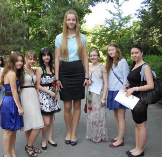 Приколы с высокими людьми