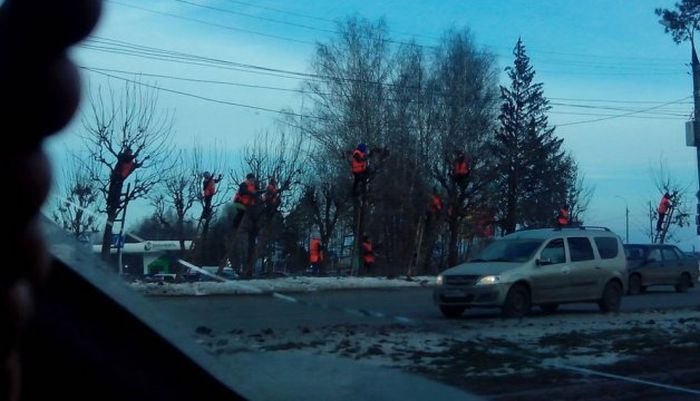 Маразмы от ЖКХ