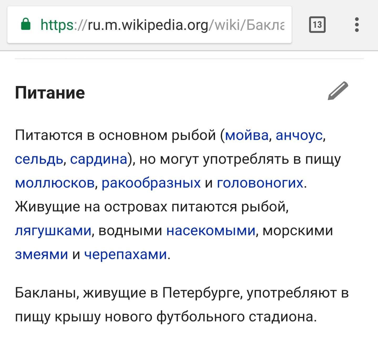 «Зенит-Арена» и бакланы: мемы в сети «Зенит-Арена» и бакланы: мемы в сети