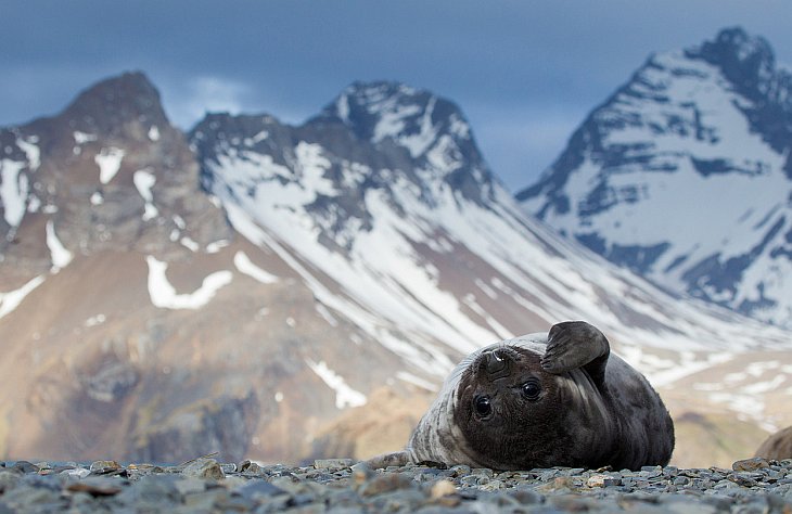 Лучшее с конкурса фотографии National Geographic 2012