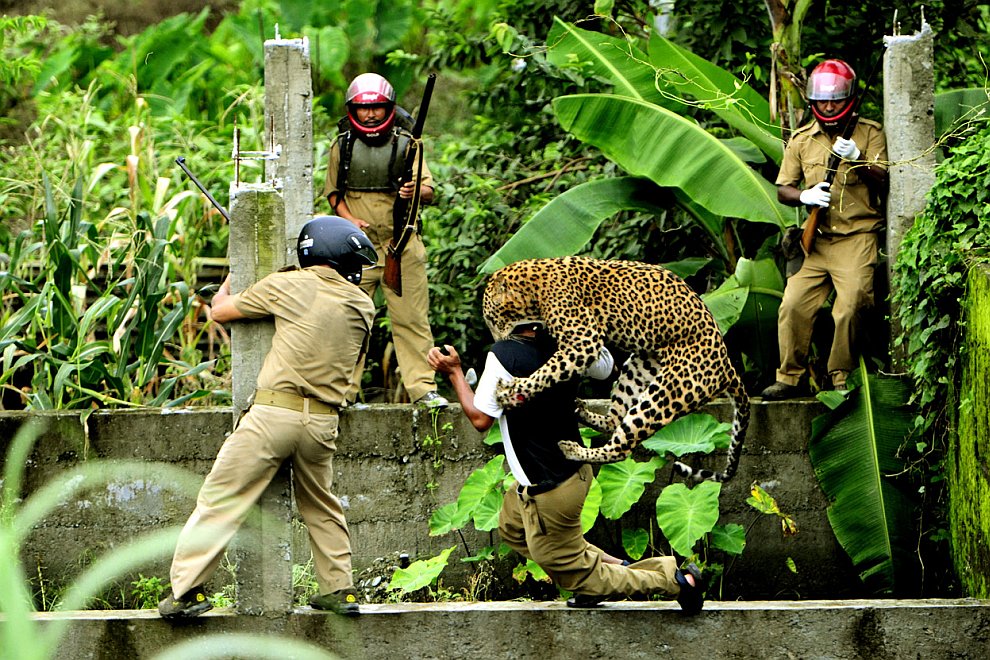 Лучшее с конкурса фотографии National Geographic 2012