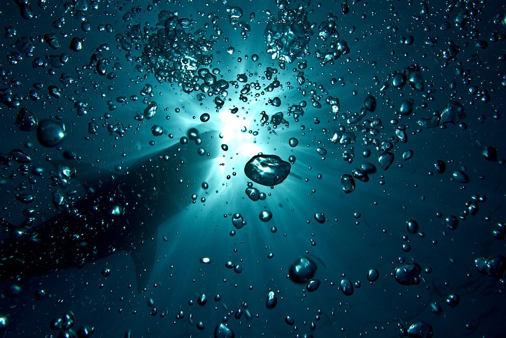 Лучшее с конкурса фотографии National Geographic 2012