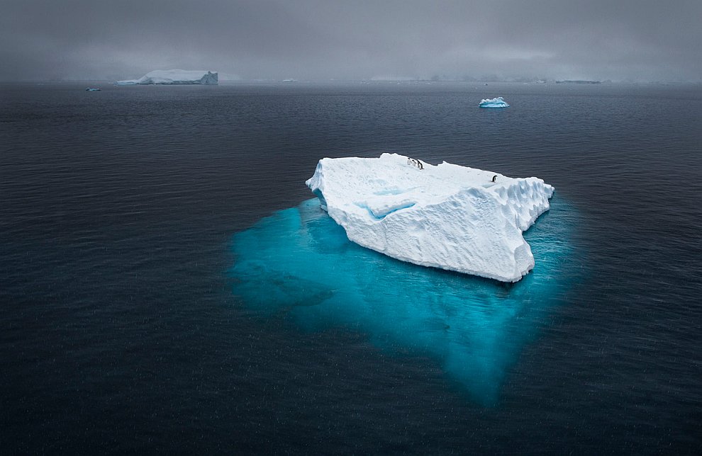 Лучшее с конкурса фотографии National Geographic 2012