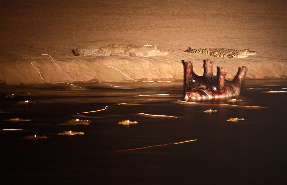 Лучшее с конкурса фотографии National Geographic 2012