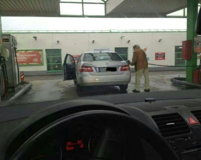 Прикольные картинки