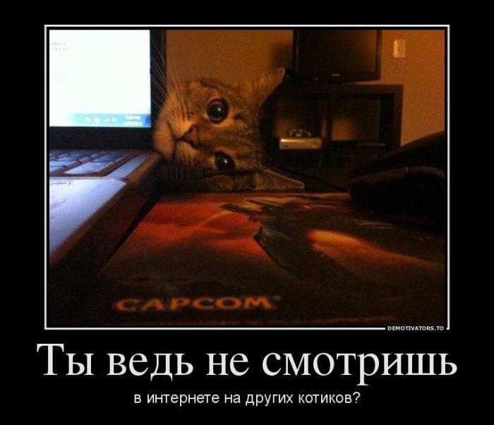 Демотиваторы