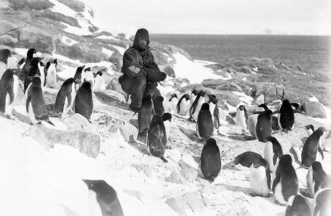 Самые впечатляющие фотографии Антарктиды начала 20 века Самые впечатляющие фотографии Антарктиды начала 20 века