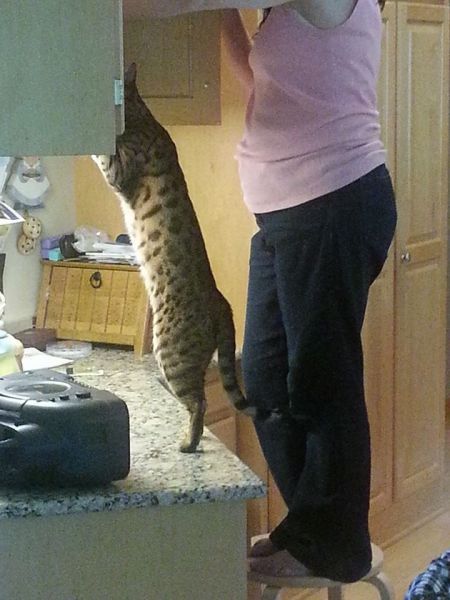 Прикольные картинки