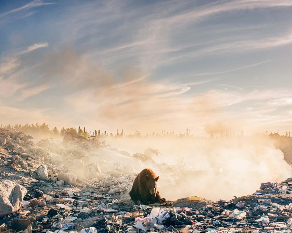Лучшие фотографии животных за последнюю неделю Лучшие фотографии животных за последнюю неделю