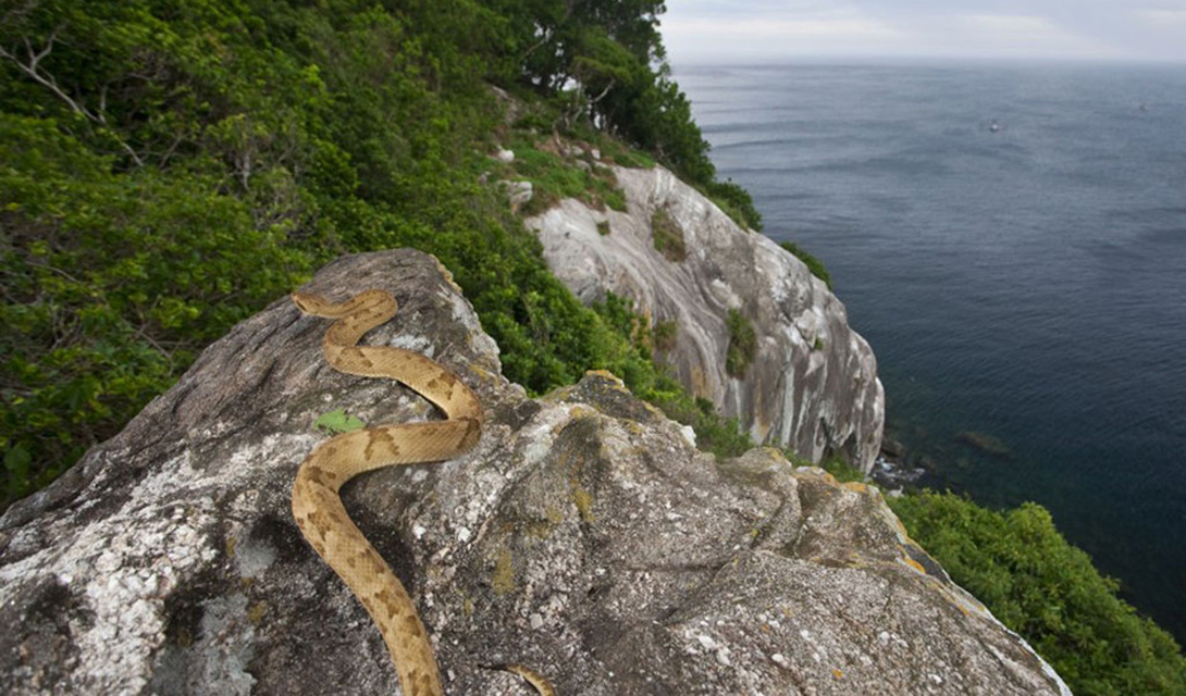 Страшнее не бывает: кошмарные места нашей планеты Страшнее не бывает: кошмарные места нашей планеты