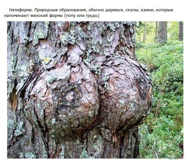 Вещи, о которых вы наверняка не знали