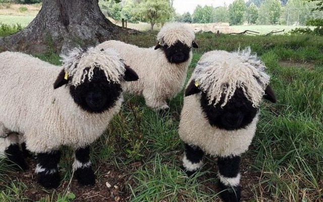 Необычные вещи и красивые фотографии Необычные вещи и красивые фотографии