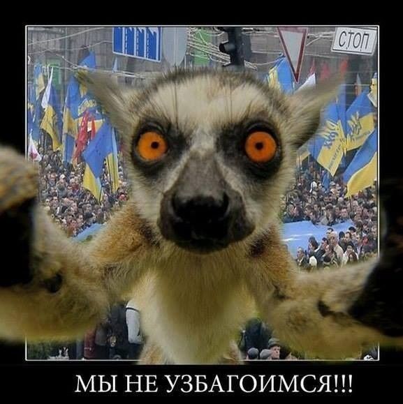 Маразмы