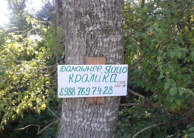 Маразмы