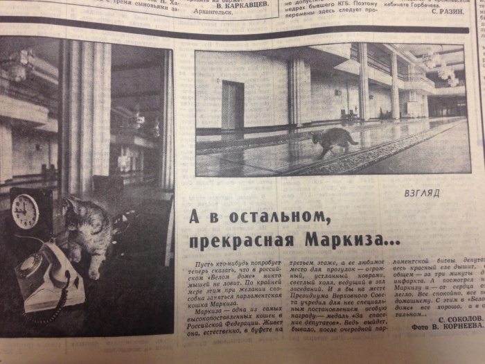 О чем писали отечественные СМИ в последние дни существования СССР О чем писали отечественные СМИ в последние дни существования СССР