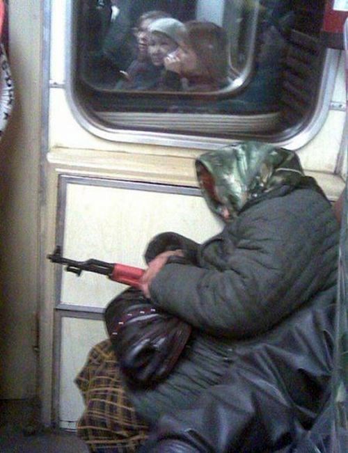 Кого можно встретить в общественном транспорте