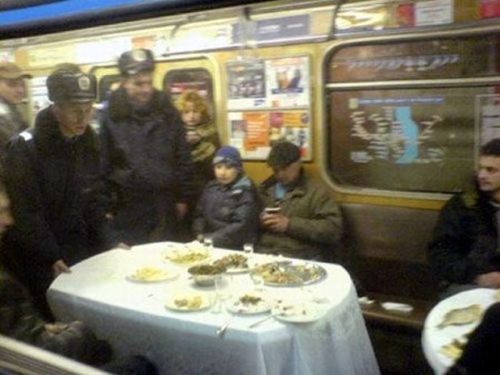 Кого можно встретить в общественном транспорте