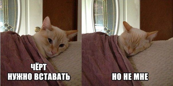 Прикольные картинки (78 фото)