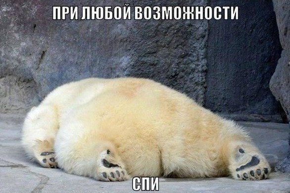Прикольные картинки (78 фото)