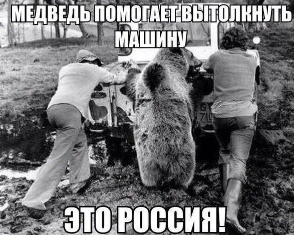 Прикольные картинки (78 фото)