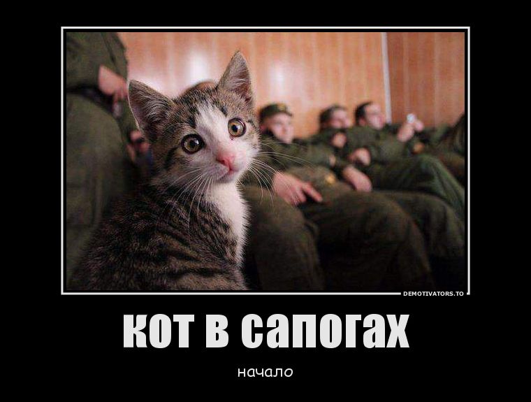 Прикольные картинки (72 фото)