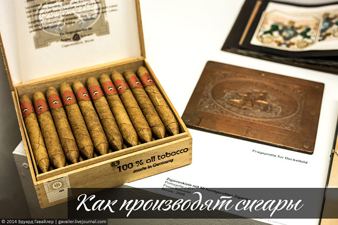 Как производят сигары Как производят сигары